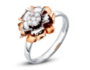 W18K@ʯŮ