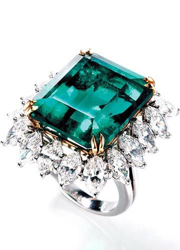 ˹DHarry Winston߼錚 LA 