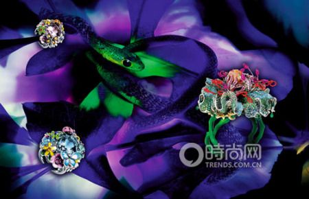Dior߼錚 DioretteβָIdylle Aux ParadisɫʯǶC