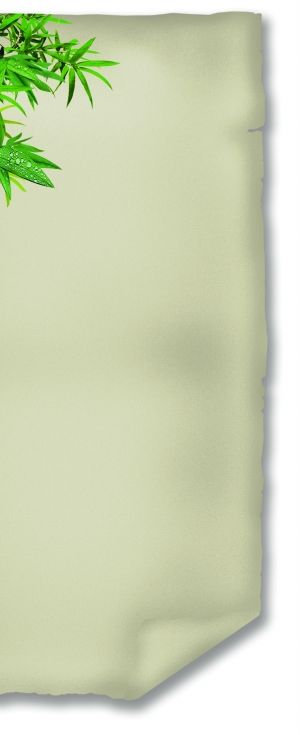 cy12@