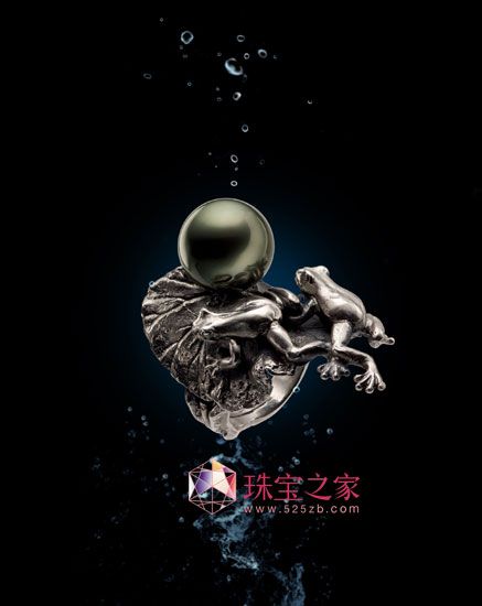 京潤珍珠贊助搜狐2010年秋季電視劇互聯網盛典