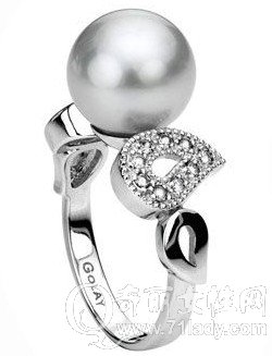 GOLAY COLLECTION ׽ָ