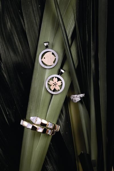 Bulgari TONDOS侫䓡~RMB12,400 Bulgari TONDOS侫䓡ѻRMB12,400 Bulgari Serpentiϵа׽@ָ RMB84,000 Bulgari SerpentiϵSCǶĸؐԼ@ RMB373,000