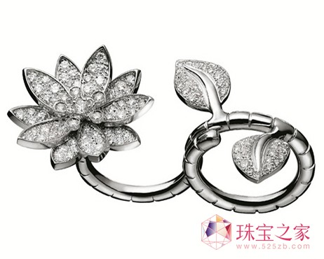 Ō2011ʥQ錚ϵ