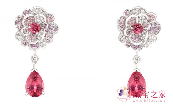 CHANELȫJARDIN DE CAMELIAS߼錚ϵ Aɽ軨