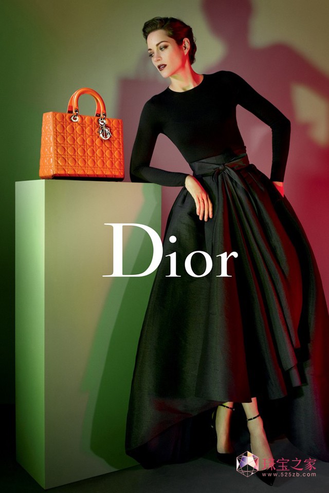 Lady Dior 2013 VƬ
