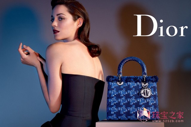 Lady Dior 2013 VƬ