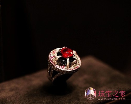 ··Ǹ߼(j)錚 Escale à Paris 피(j)錚ϵ