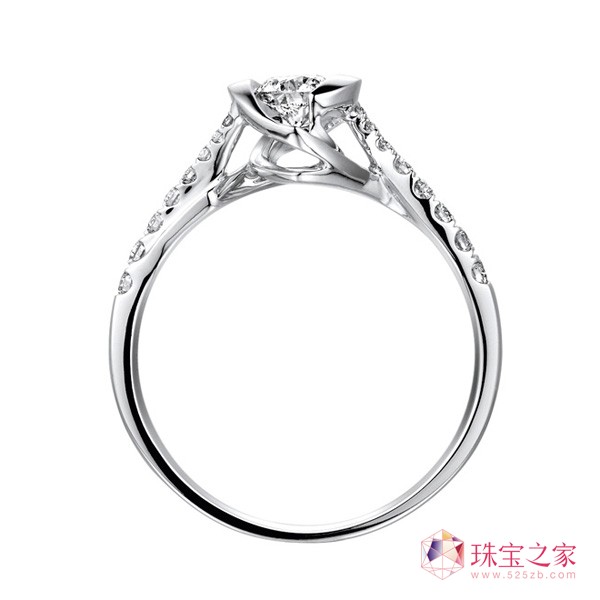 錚Ƴȫ2013ϵ錚