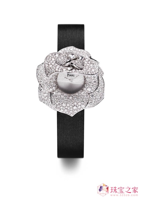 Piaget Roseϵ