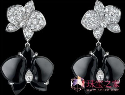 ؁CARESSED‘ORCHIDÉESPARCARTIERh