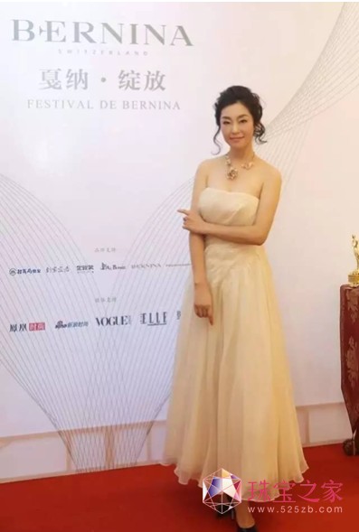 SWISS BERNINA錚ꩼ{•`貆Ļ