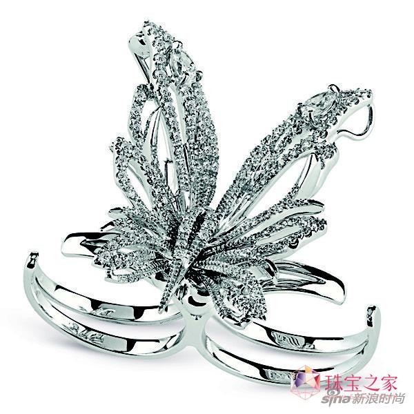  (Damiani) ϵ錚ָ