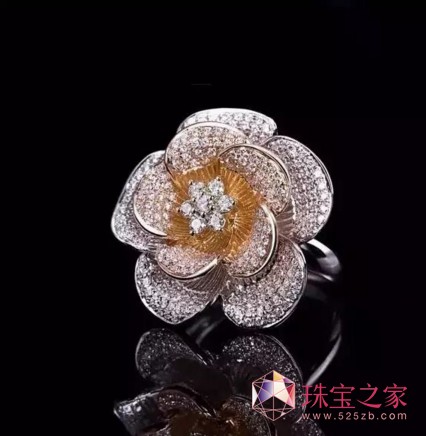 ߼(j)錚FRED BARAY mK?c)v➩22̖(ho)